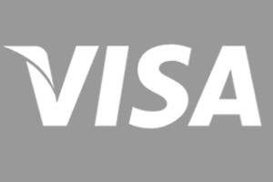 Visa_icon